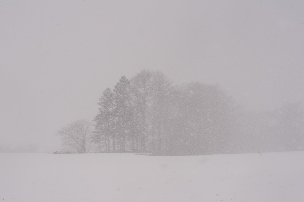 北海道　トンコリ　アイヌ　楽器　長沼　カントリーバーン　二宮　作家　職人　手掘り　雪風景